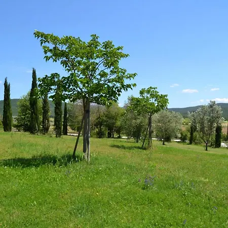 Mit Offenem Schlafboden Und Garten Appartement